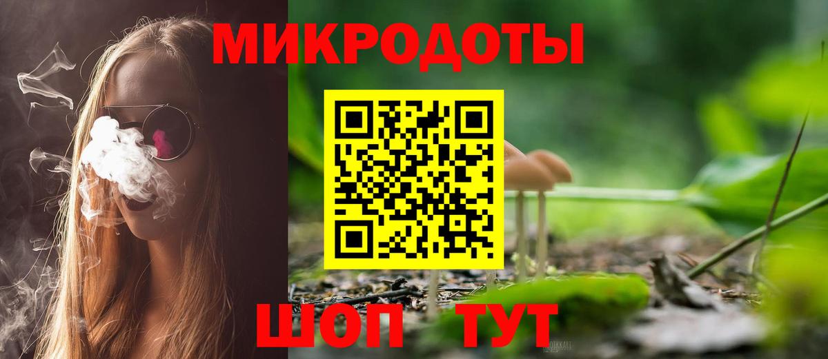 A PVP Малгобек