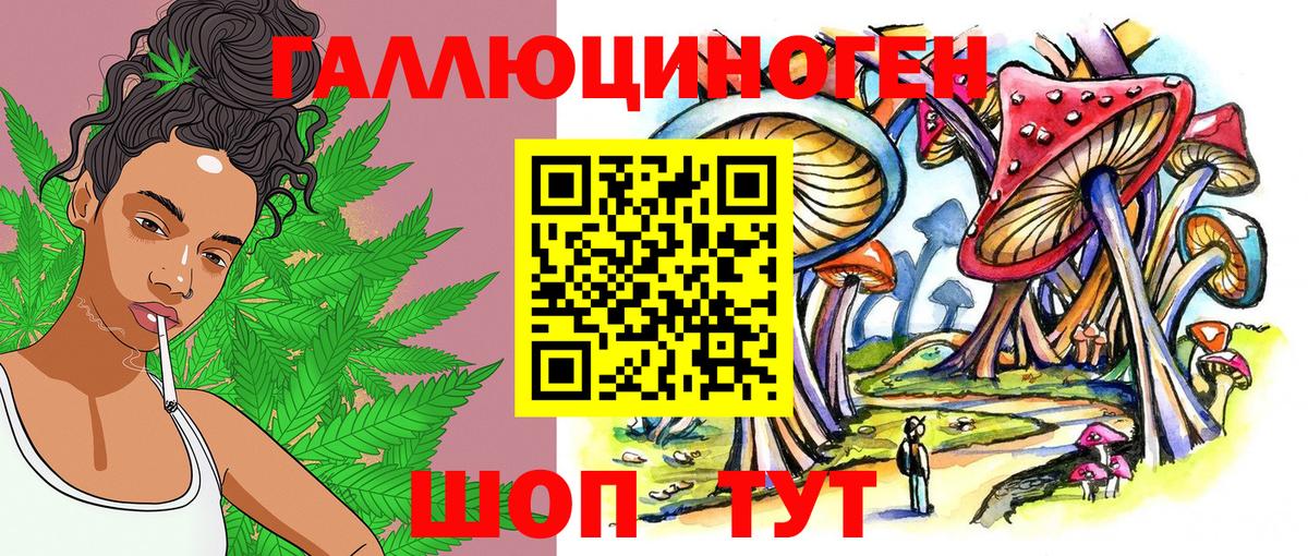 Малгобек  Псилоцибиновые грибы мицелий  Вход с VPN 